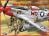 ICM: USAAF Piloten und Bodenpersonal