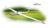 Phoenix ASK-21 6,5 m - Segler