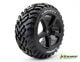 LOUISE, LT3252SB, T-APOLLO Race-Compound zachte spaakvelg zwart