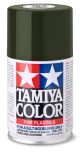 TS-2 Dark Green Flat 100 ml