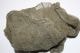 1:35 camouflage netten Grijs 55 x 55 cm 22.gram